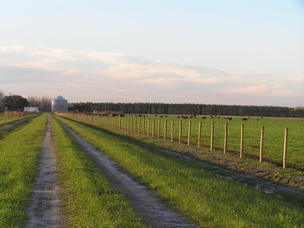 Alachua County Florida Ranches 1920 acres