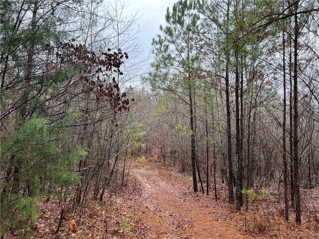 Cedar Creek Road