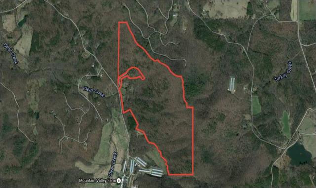 176.69 Acres on Homer Wright Road
