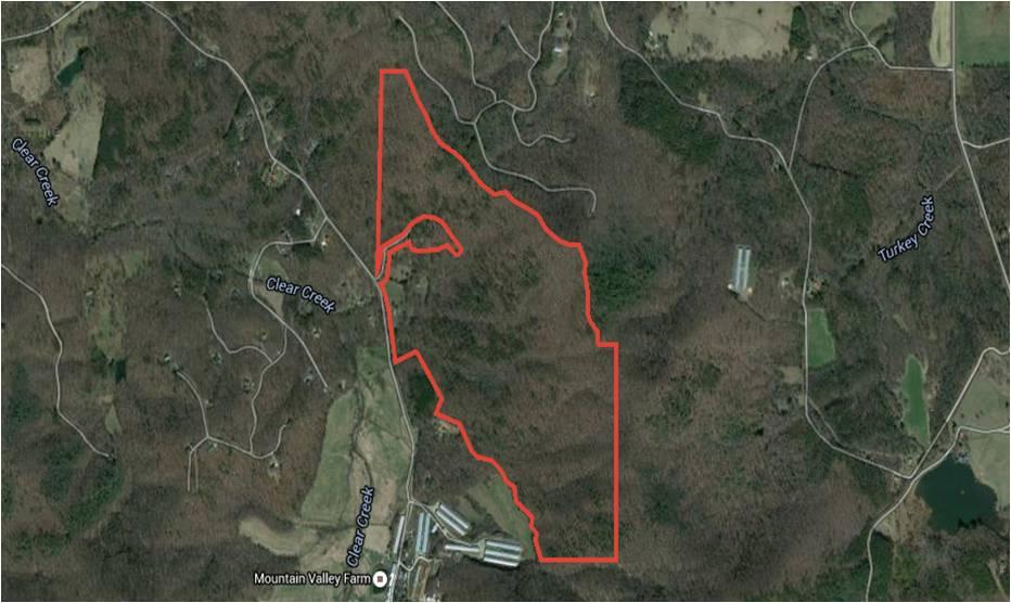 176.69 Acres on Homer Wright Road
