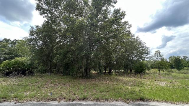 Marion Oaks Vacant Lot
