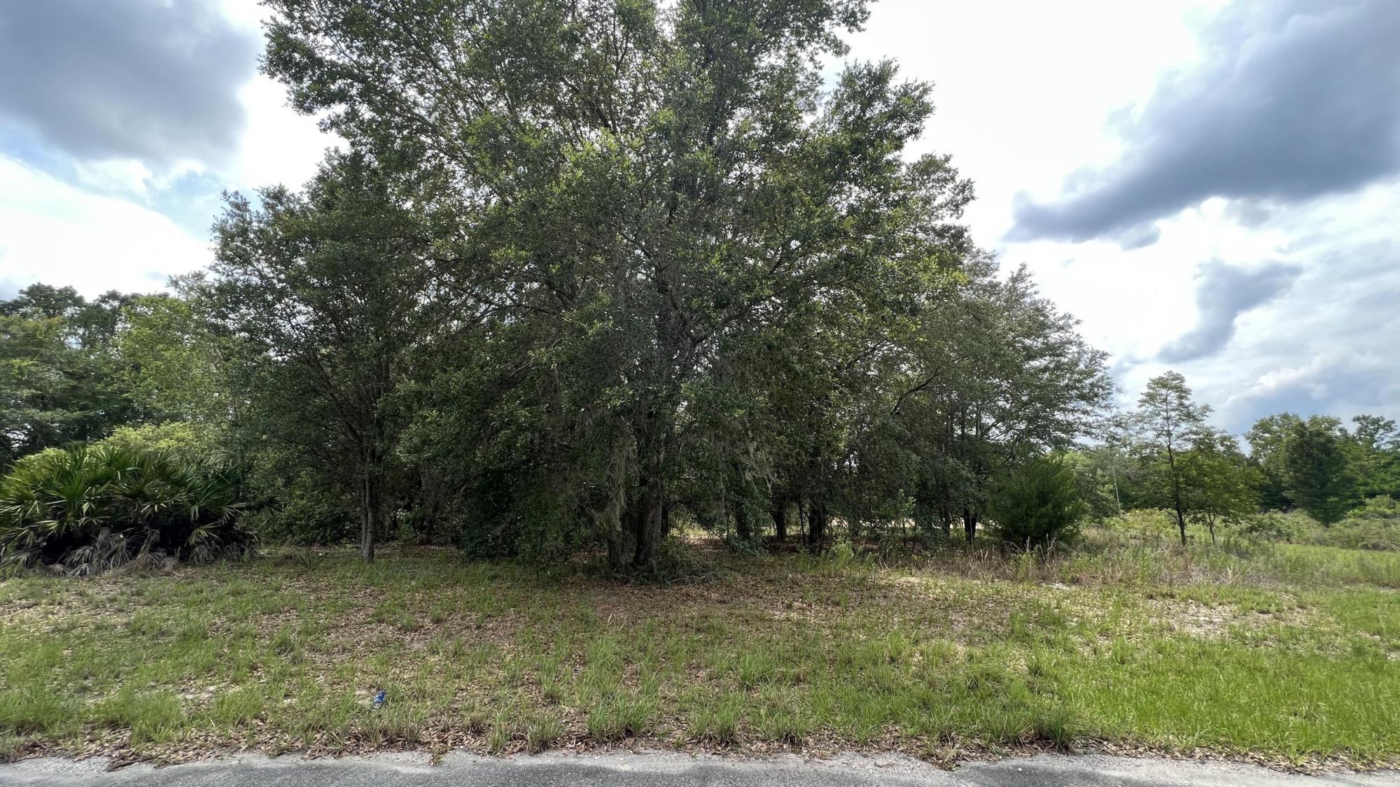Marion Oaks Vacant Lot