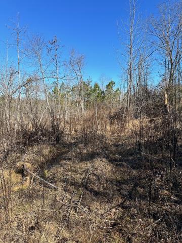 Satcher Road, #2