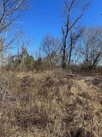 Satcher Road, #3