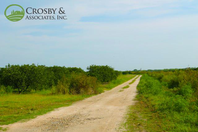 #899 - 682± Ac Valencia Citrus Grove For Sale
