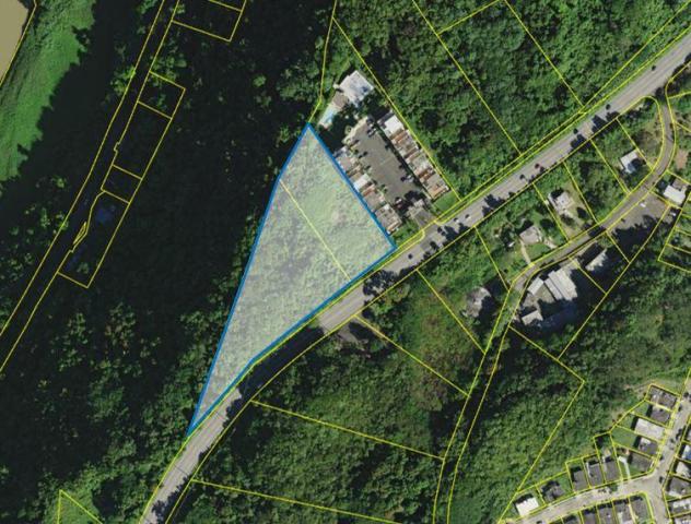 Two Adjacent Commercial Parcels Along PR-149