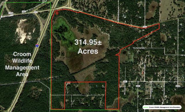 314.95+- ac Vacant Ag Land on I-75 Bushnell