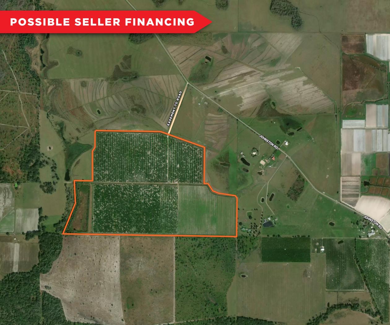 213 Acre Van Adams Grove – Hardee County