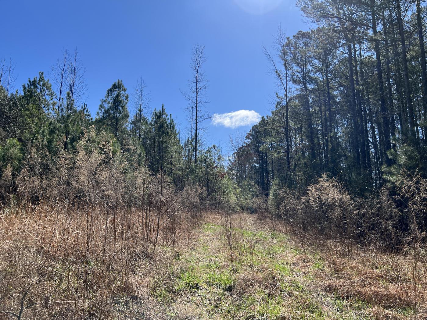 341 Wilderness Camp Road SE, #25
