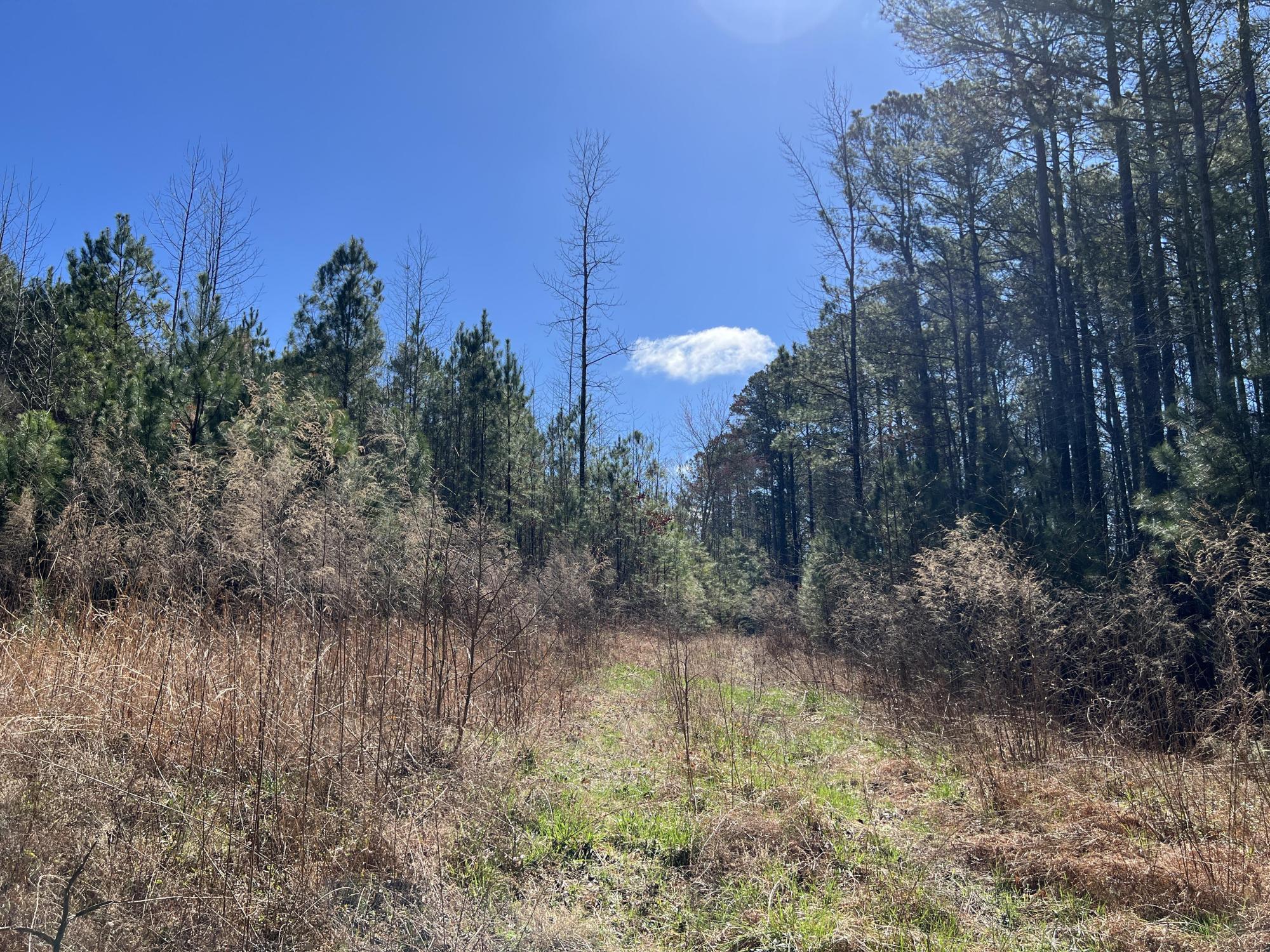 341 Wilderness Camp Road SE, #25