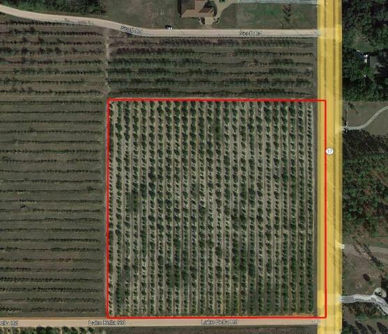 Lake Wales Development Opportunity + Citrus G