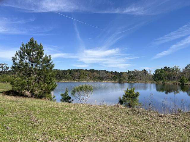 28 ± Acre Patterson Road Tract