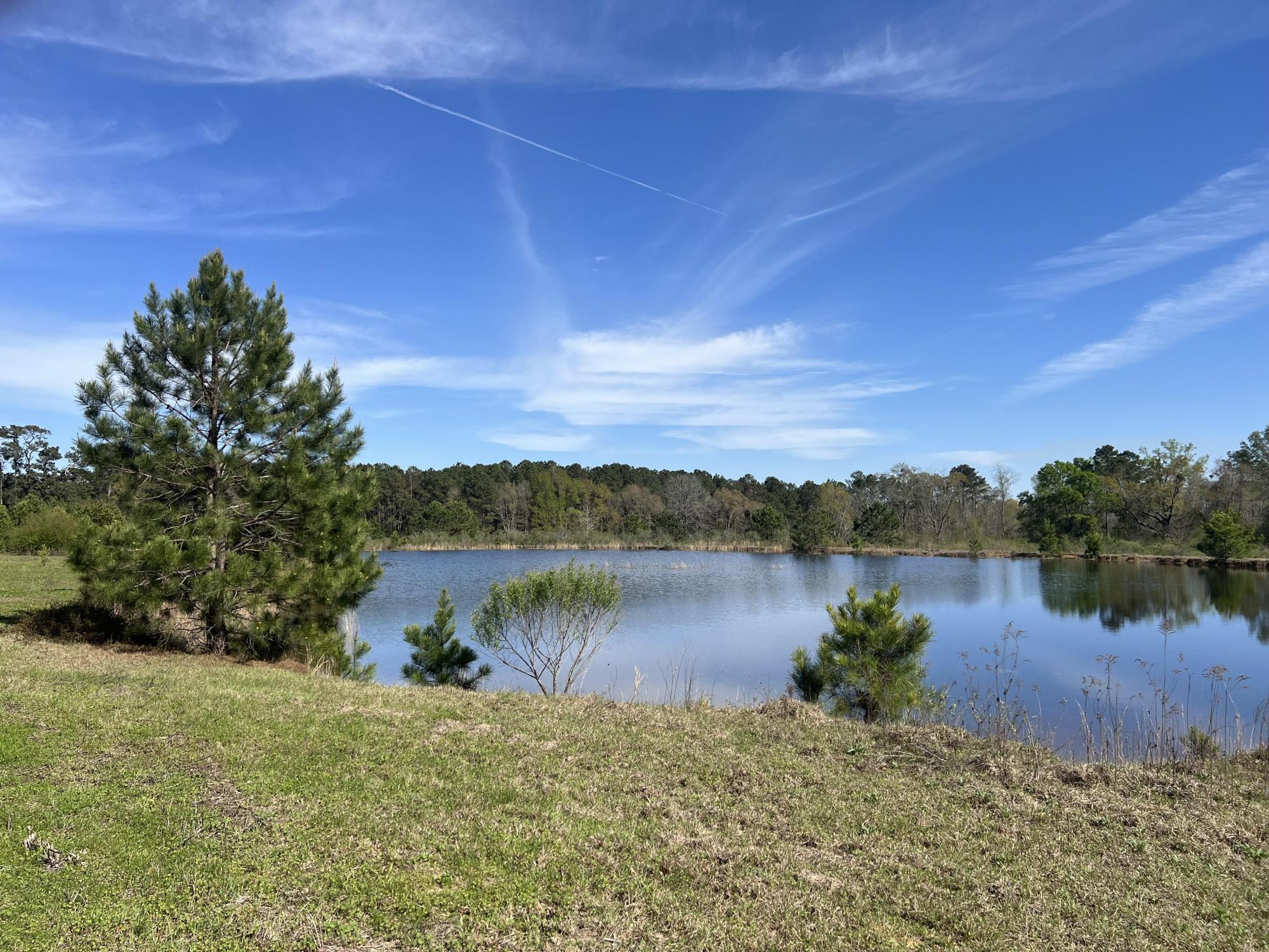 28 ± Acre Patterson Road Tract