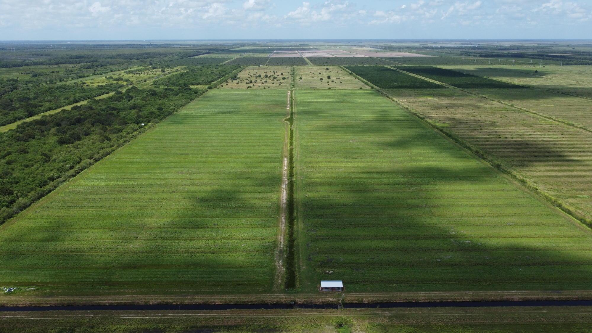 Indian River 78 Acres