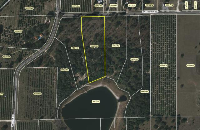 5+ Acre Tract on Peanut Pond