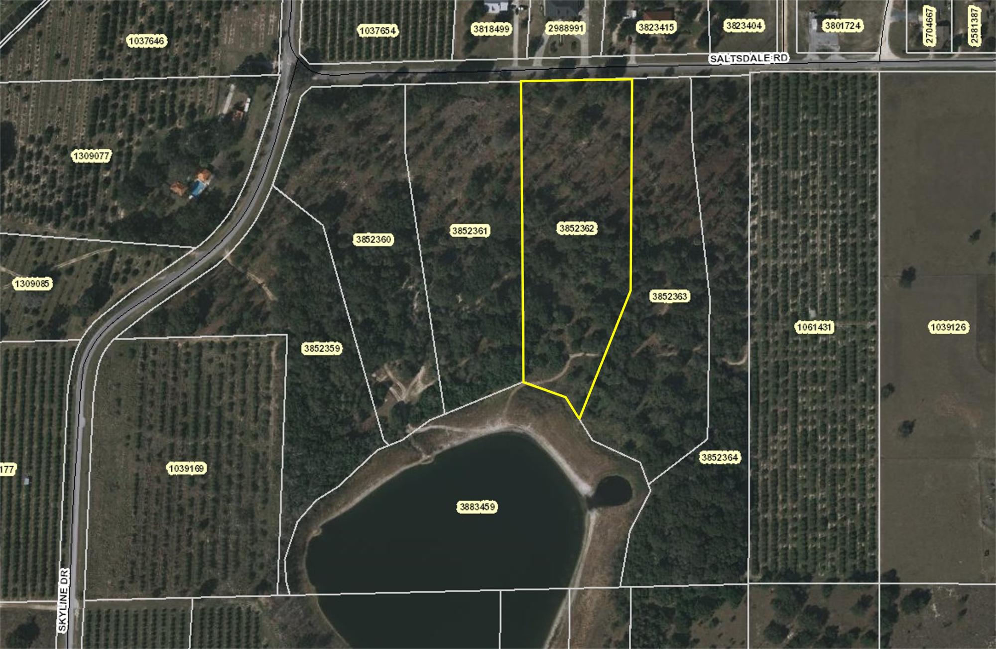 5+ Acre Tract on Peanut Pond
