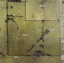 Investment Properties On  Hwy 301 Coleman Fl