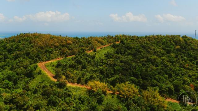 76  Acre Residential Development Oportunity