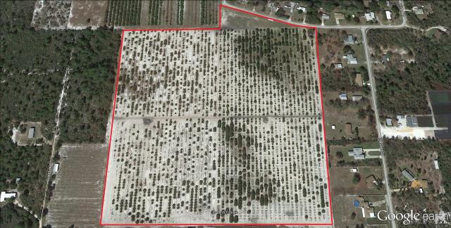 21.12± Ac Citrus Grove with Development