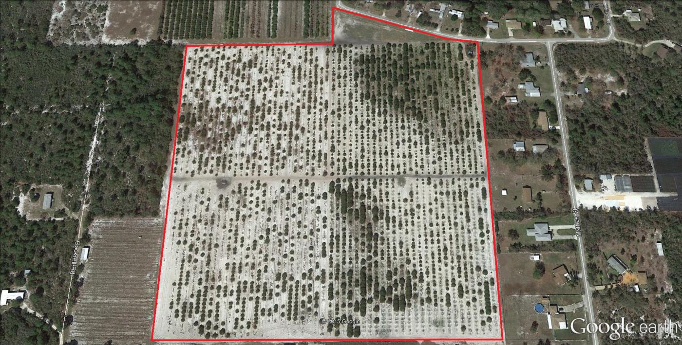 21.12± Ac Citrus Grove with Development
