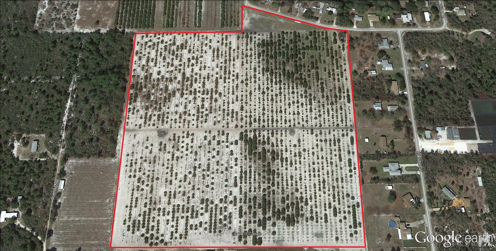 21.12± Ac Citrus Grove with Development