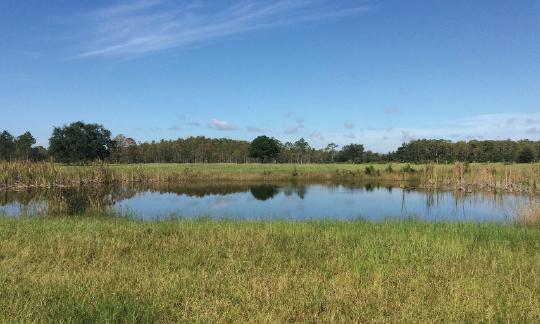 Bull Creek Ranch 1129 acres Osceola County