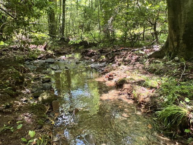 8.93 +- Acres Murray County