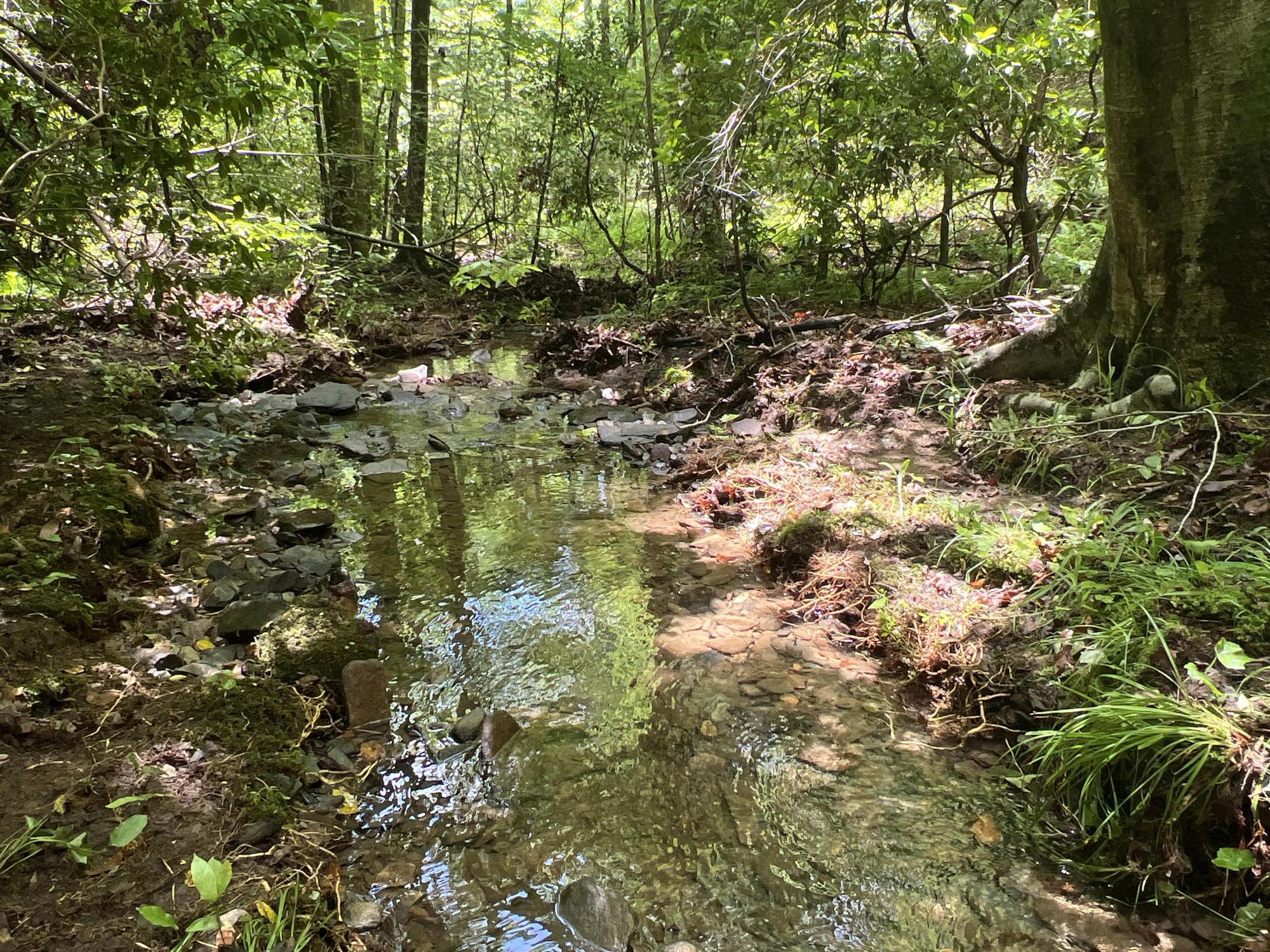 8.93 +- Acres Murray County