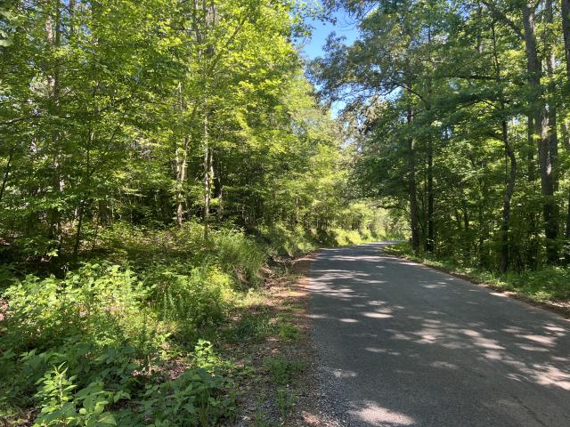 7.17 +/- Wooded Acres Pickens County