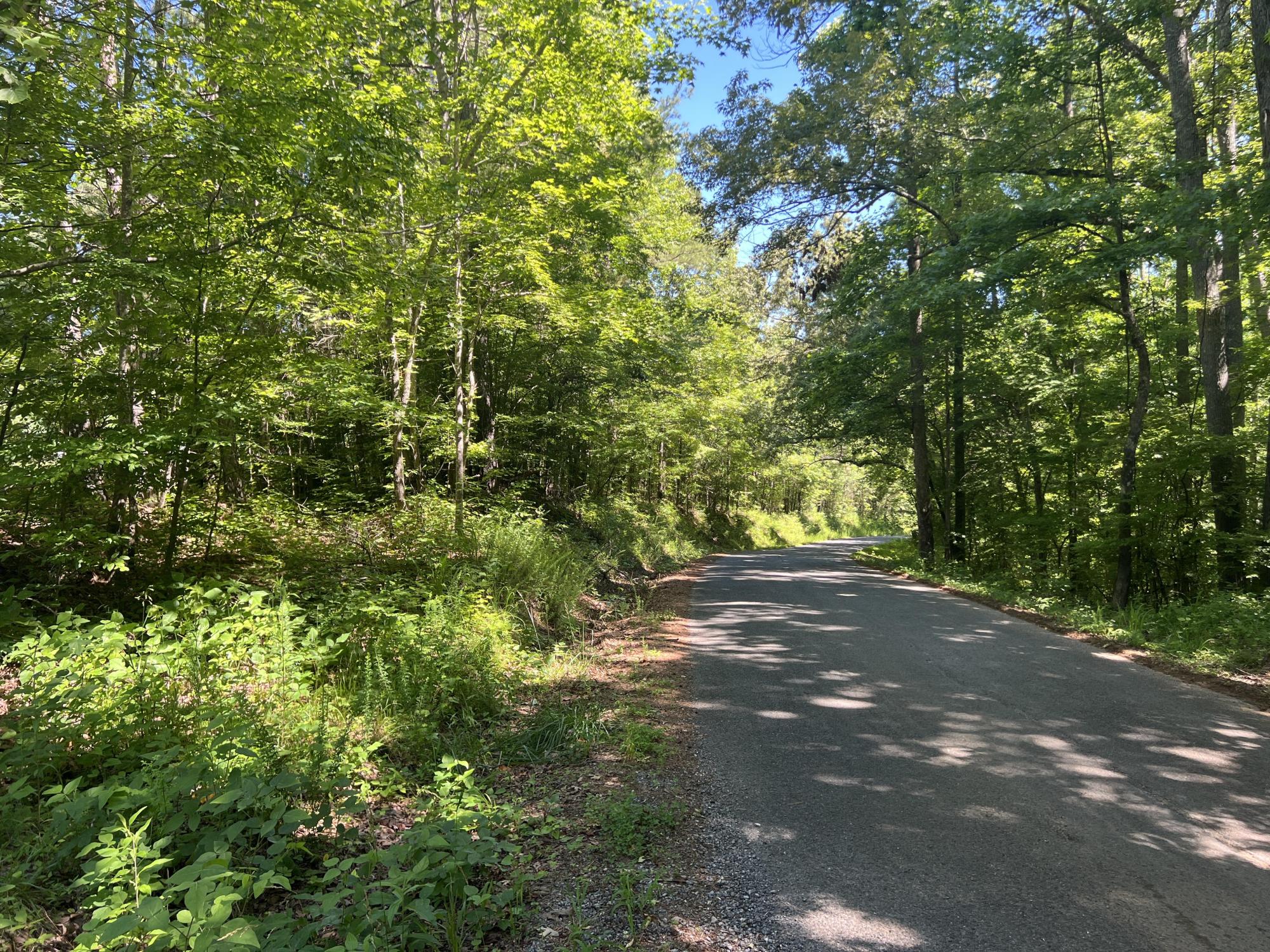 7.17 +/- Wooded Acres Pickens County