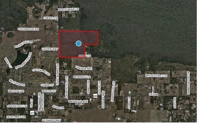 Eustis - 199 acres