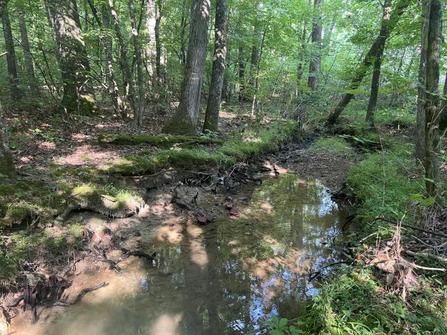 7.895 +/- Acres Gordon County