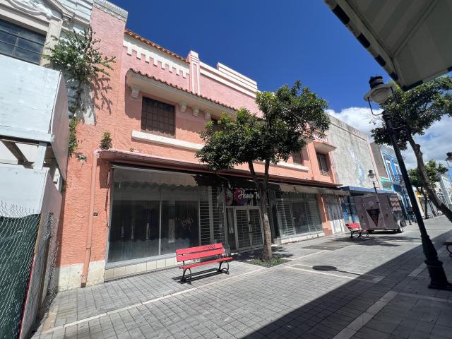Ponce Commercial Property in Paseo Atocha