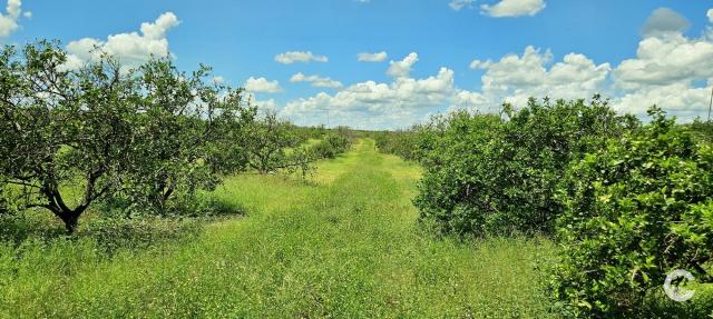9.54 Acre Residential Homesite | Polk County