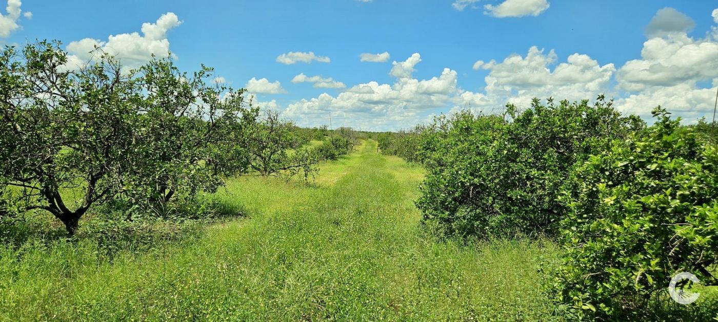 9.54 Acre Residential Homesite | Polk County