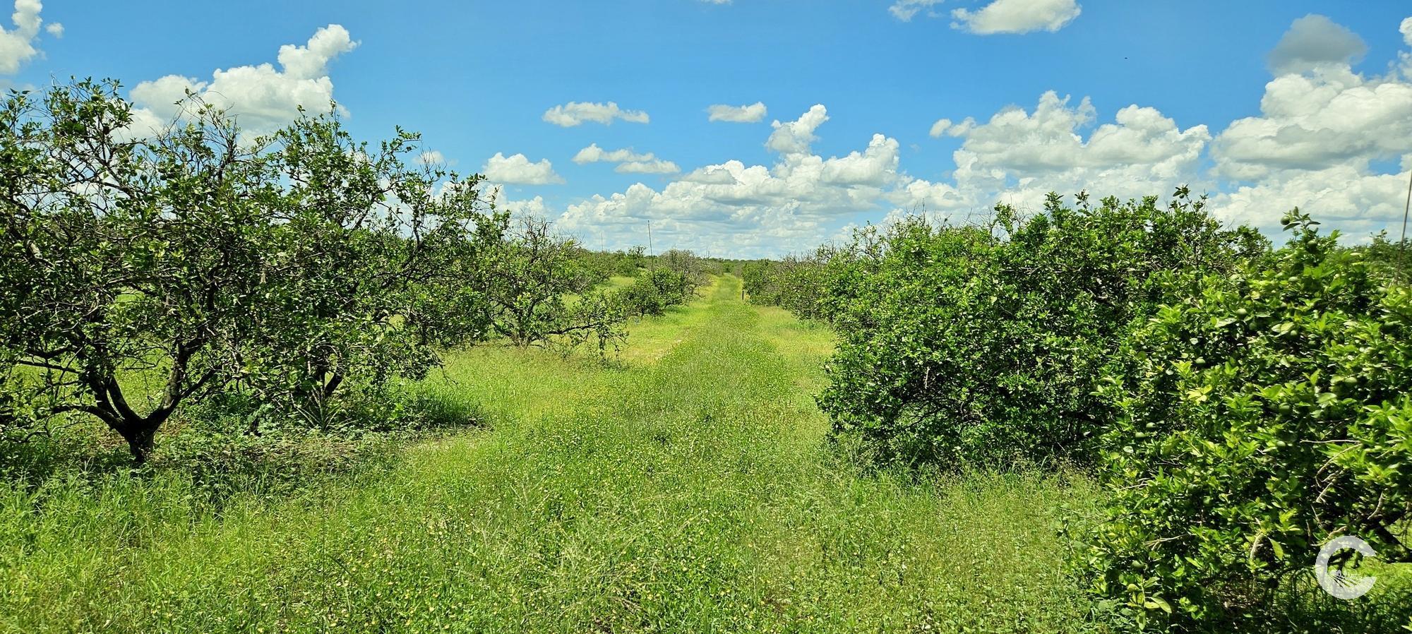 9.54 Acre Residential Homesite | Polk County
