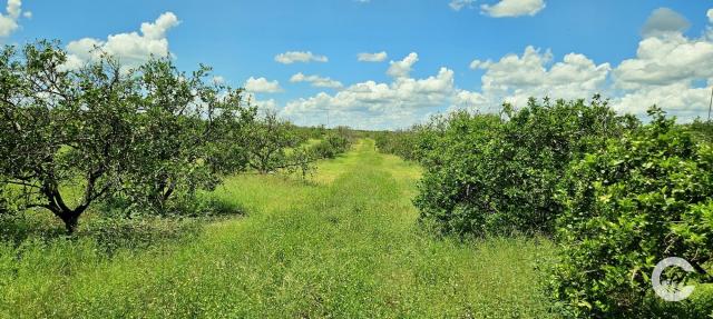 4.92 Acre Residential Homesite | Polk County