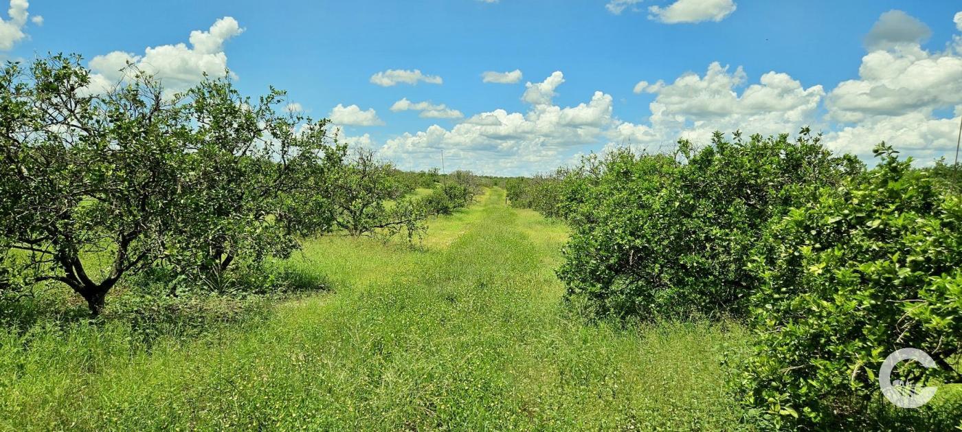 4.92 Acre Residential Homesite | Polk County