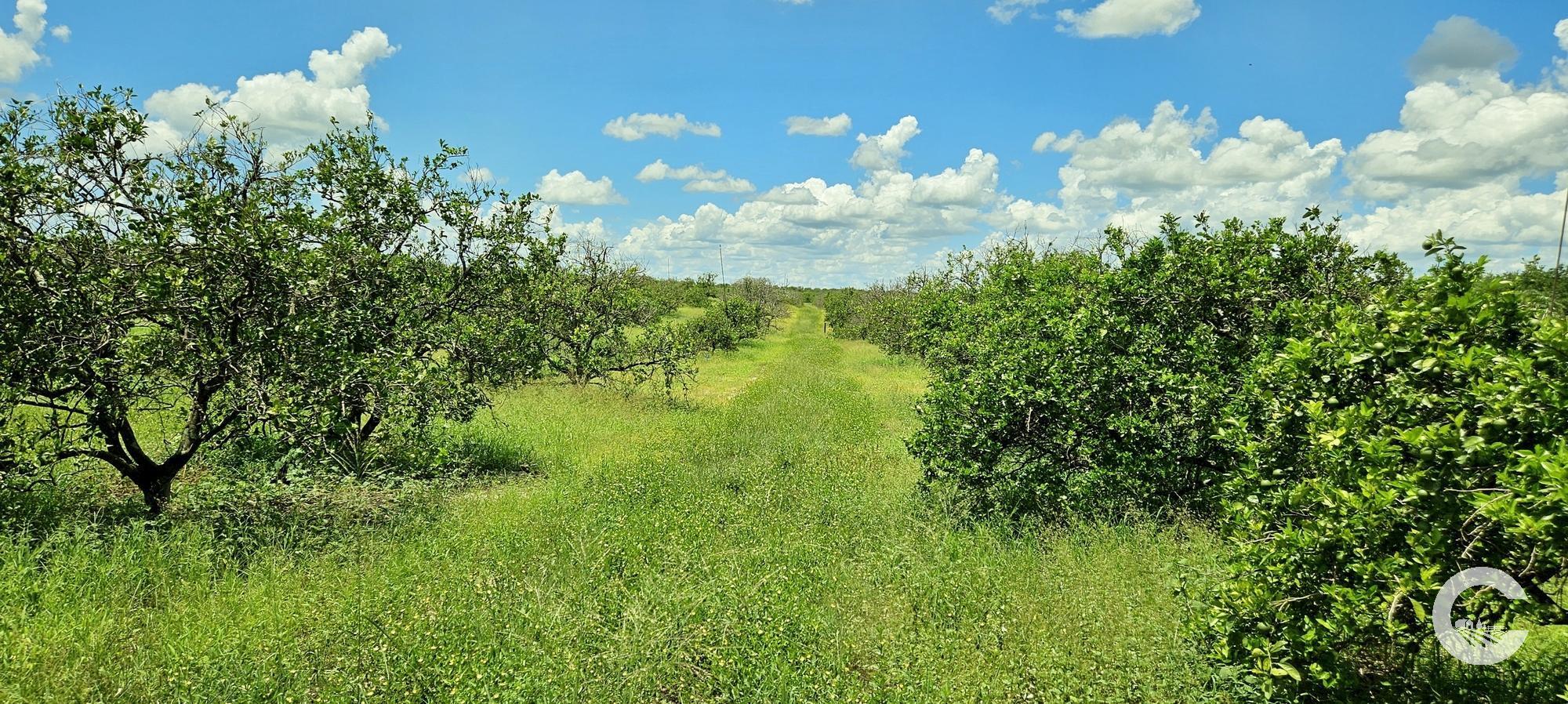 4.92 Acre Residential Homesite | Polk County