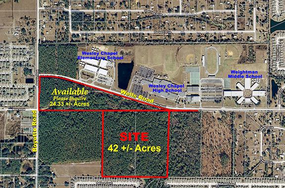 Wesley Chapel Acreage
