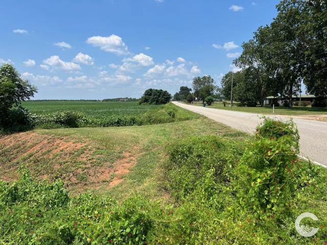 226 +/- Acre Investment Opportunity
