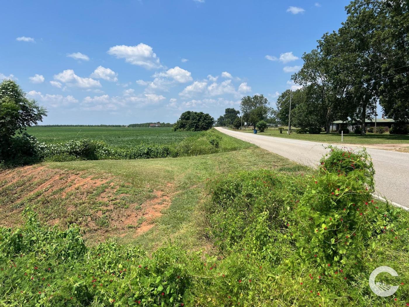 226 +/- Acre Investment Opportunity