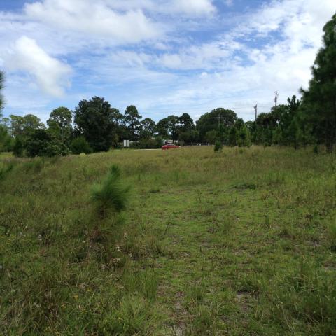 Commercial Land FOR SALE