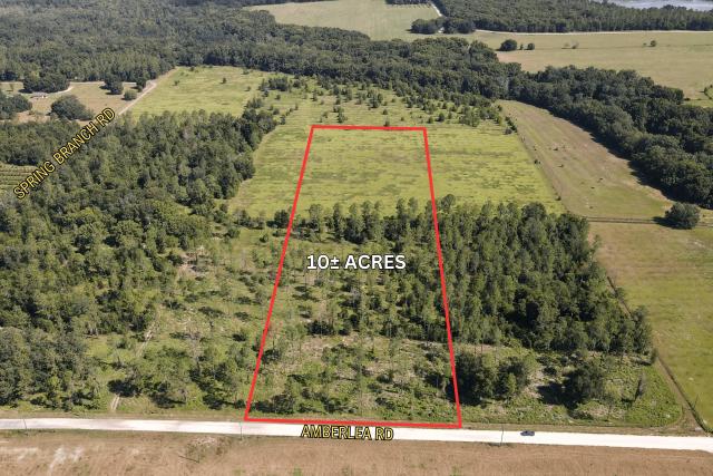 10 Acre Gently Rolling Lot in Dade City