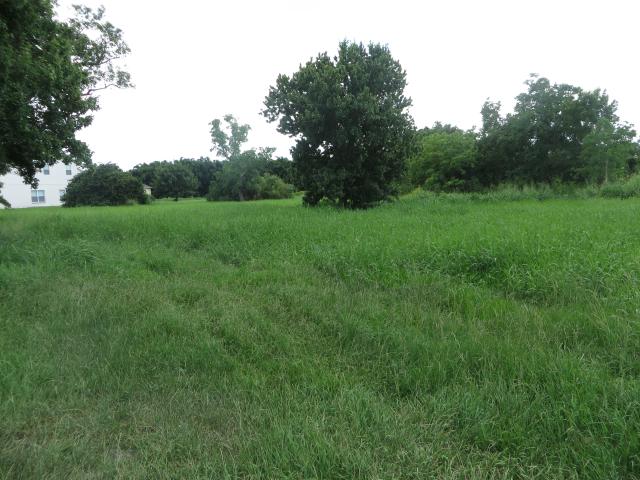 Lakeshore Blvd Property