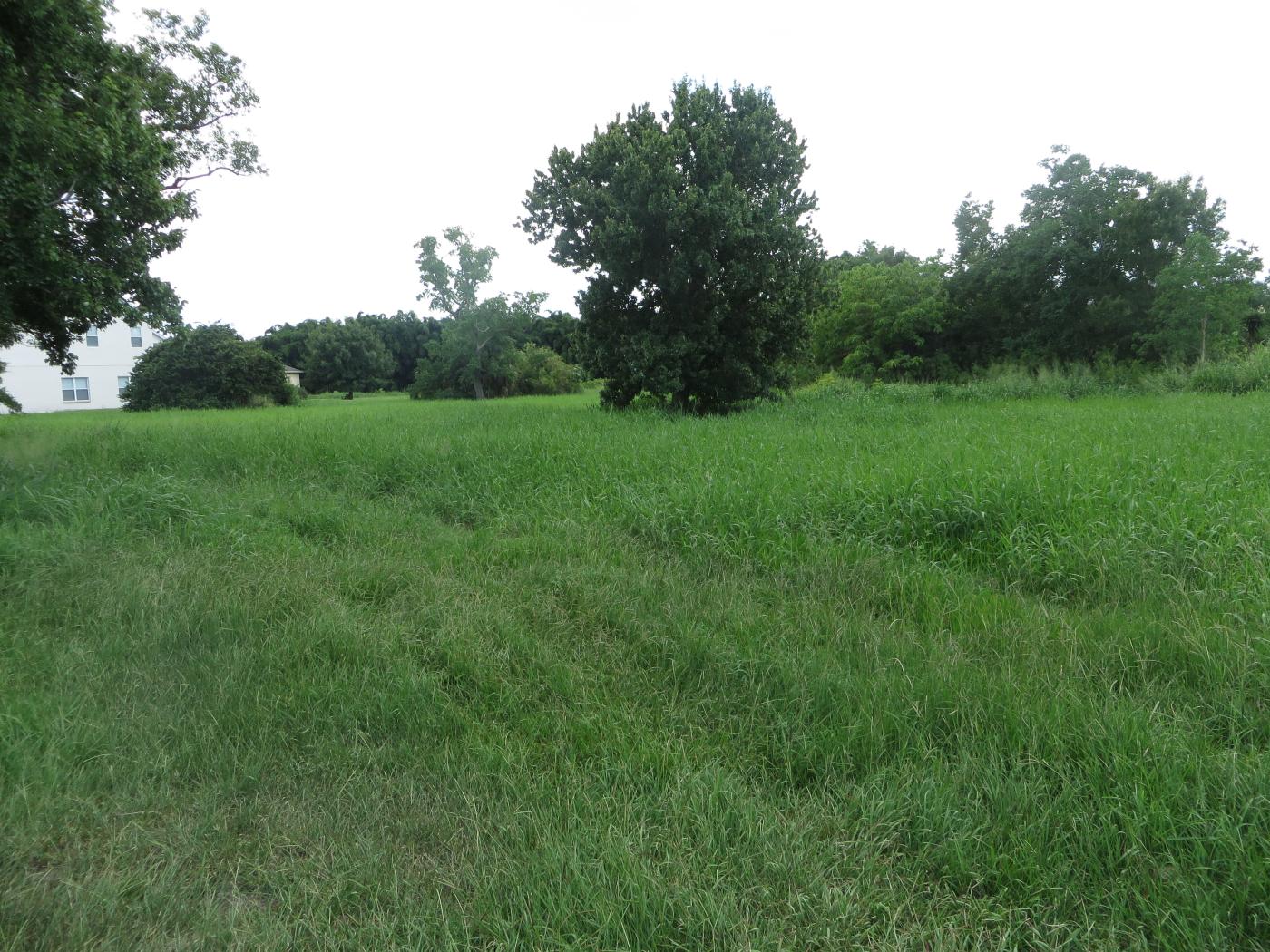 Lakeshore Blvd Property