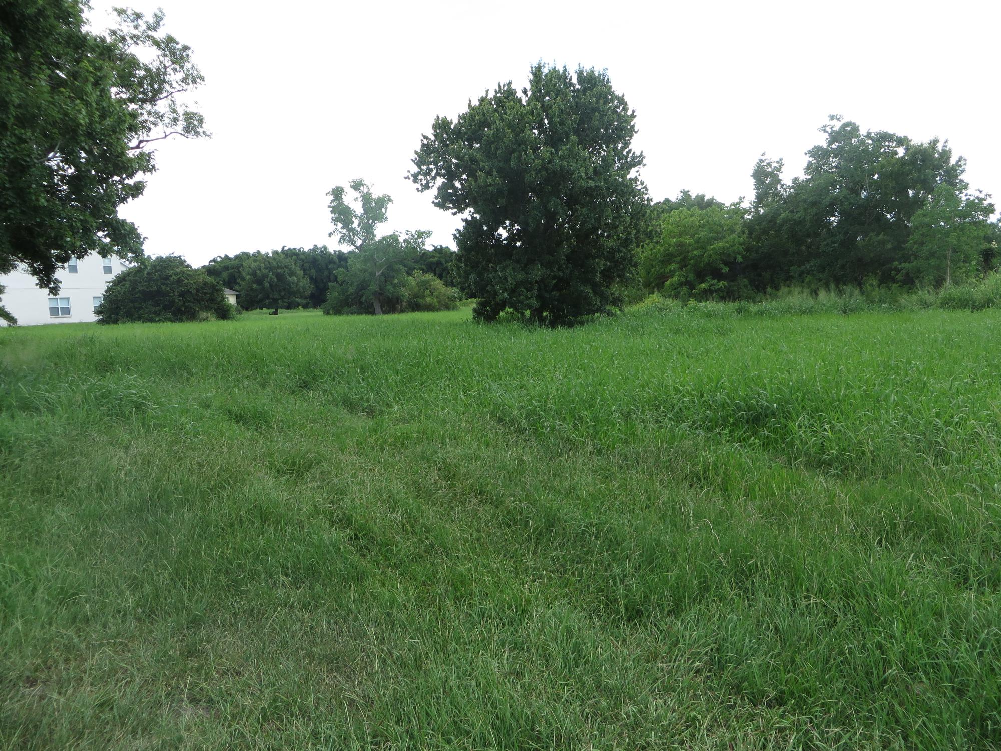 Lakeshore Blvd Property
