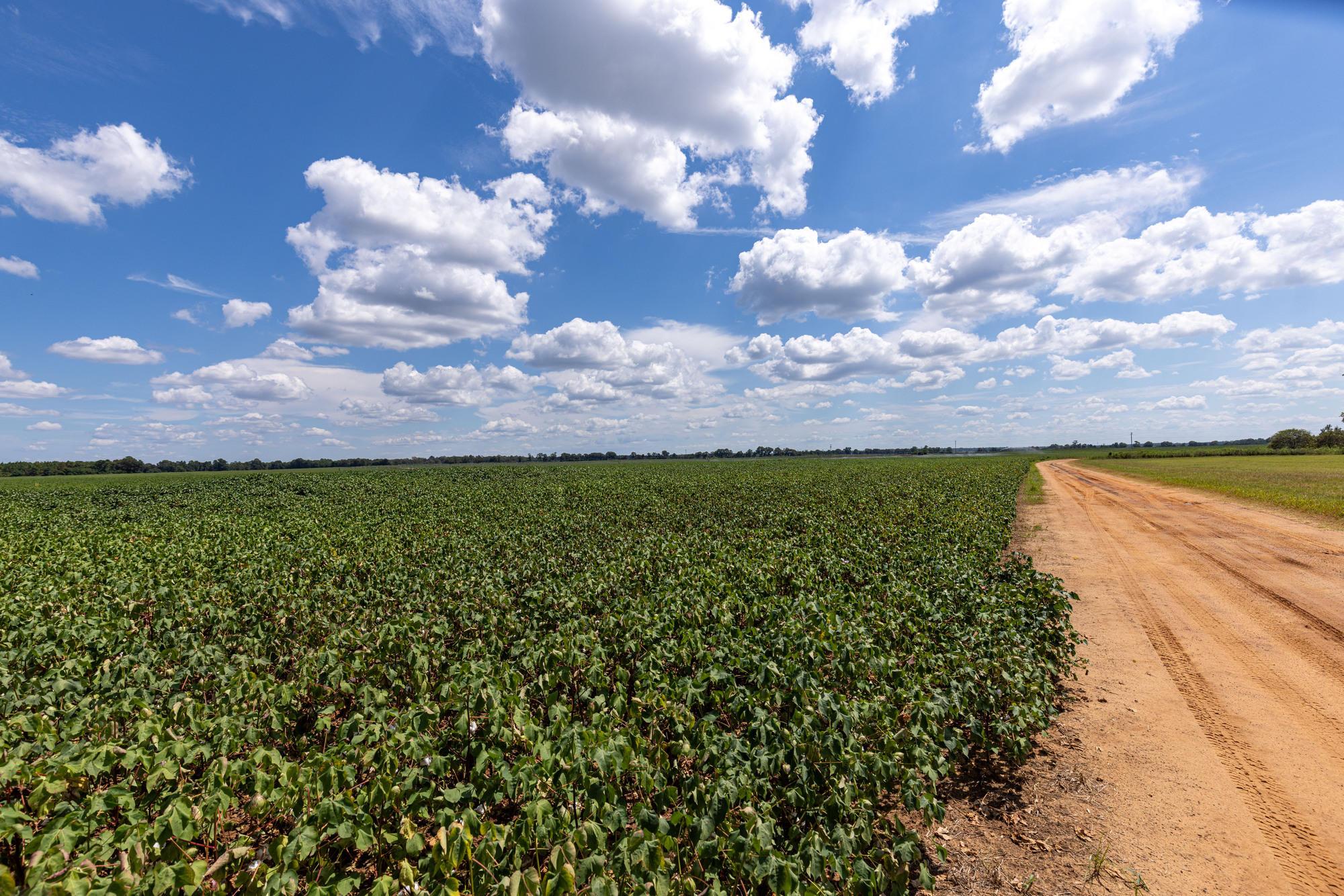 Smithville Farm