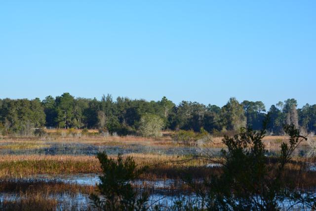 18.48+/- Acres