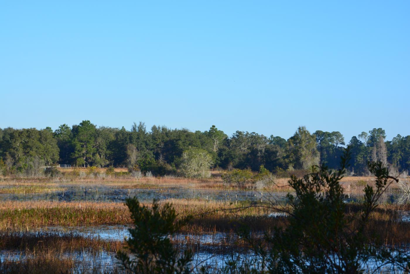 18.48+/- Acres